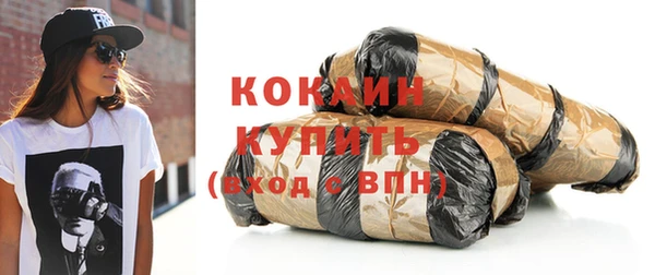 apvp Бородино