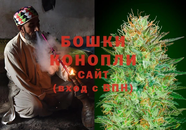 Альфа ПВП Верея