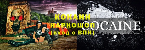 Альфа ПВП Верея