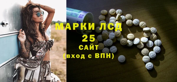 apvp Бородино